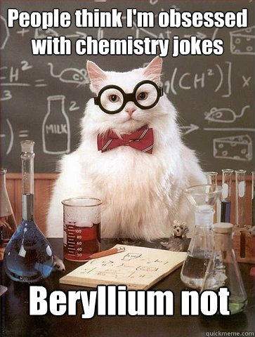 People think I'm obsessed with chemistry jokes Beryllium not  Chemistry Cat