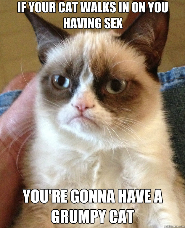 If your cat walks in on you having sex You're gonna have a grumpy cat  Grumpy Cat