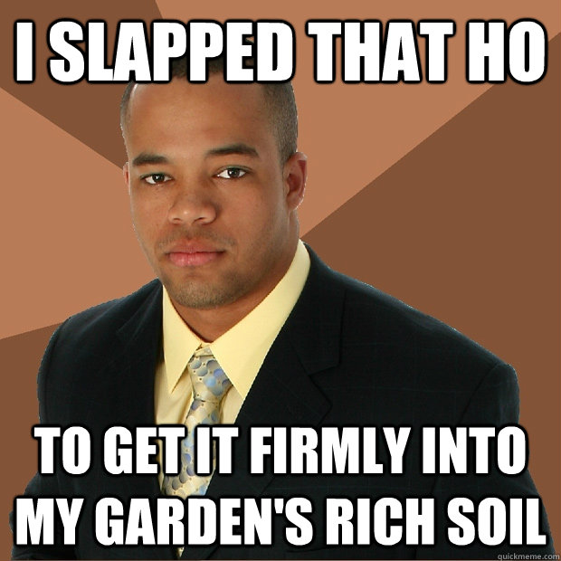 i slapped that ho to get it firmly into my garden's rich soil - i slapped that ho to get it firmly into my garden's rich soil  Successful Black Man