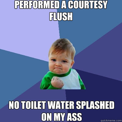 Performed a courtesy flush No toilet water splashed on my ass - Performed a courtesy flush No toilet water splashed on my ass  Success Kid