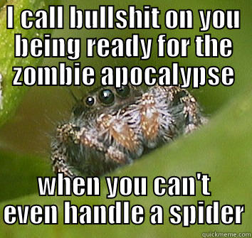 I CALL BULLSHIT ON YOU BEING READY FOR THE ZOMBIE APOCALYPSE WHEN YOU CAN'T EVEN HANDLE A SPIDER Misunderstood Spider