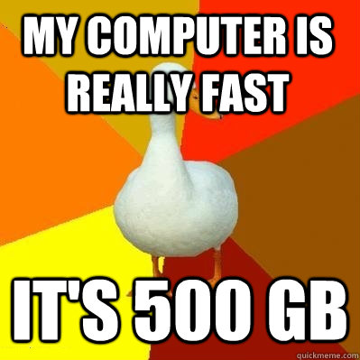 My computer is really fast it's 500 GB  Tech Impaired Duck