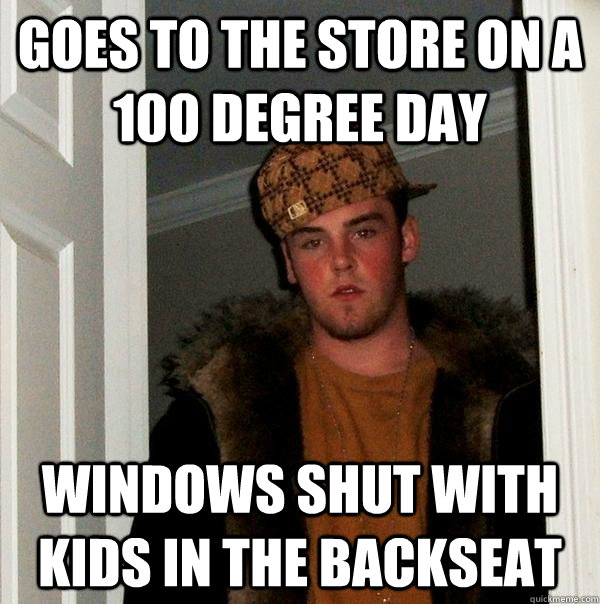 goes to the store on a 100 degree day windows shut with kids in the backseat  Scumbag Steve