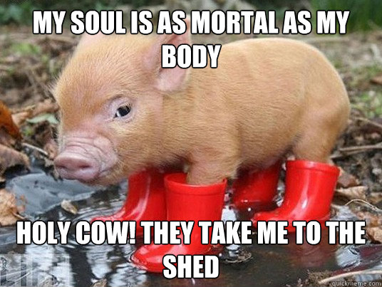 MY SOUL IS AS MORTAL AS MY BODY HOLY COW! They take me to the  shed  