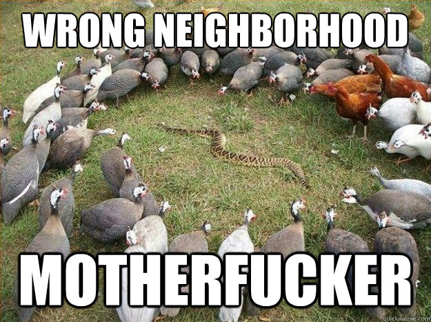 Wrong neighborhood motherfucker  