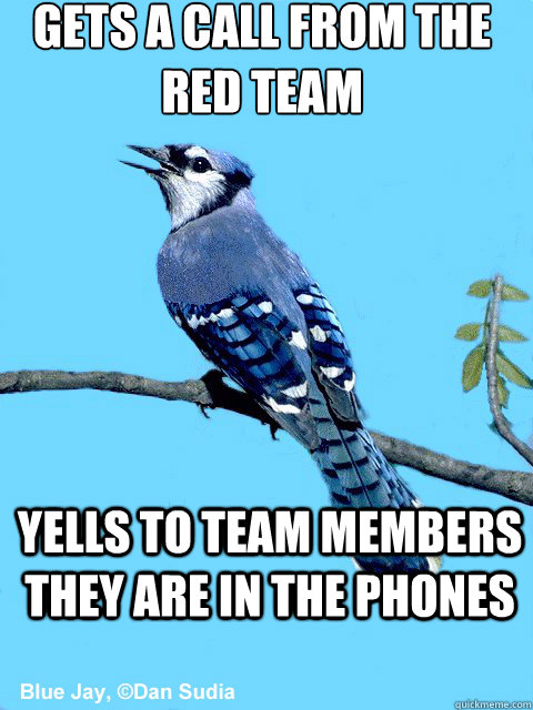 gets a call from the red team yells to team members they are in the phones  Blue Team Bird