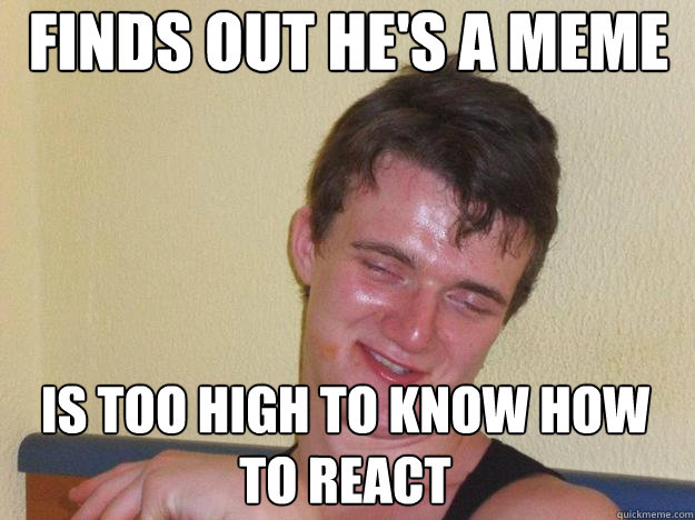 Finds out he's a meme Is Too high to know how to react  10 Guy