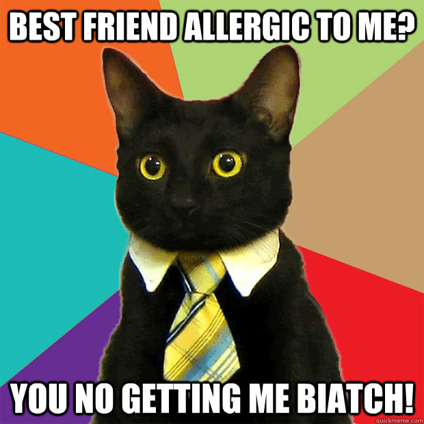 Best friend allergic to me? You no getting me biatch!  Business Cat