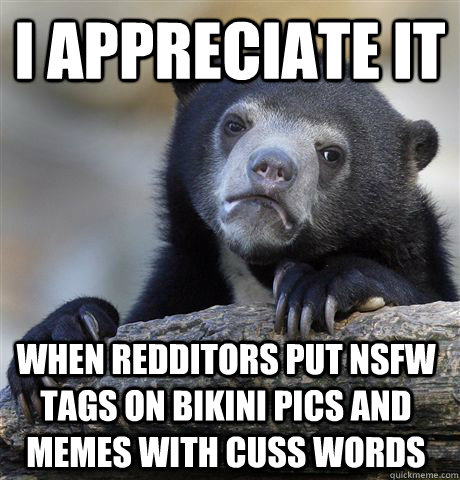 I appreciate it When redditors put NSFW tags on bikini pics and memes with cuss words - I appreciate it When redditors put NSFW tags on bikini pics and memes with cuss words  Confession Bear