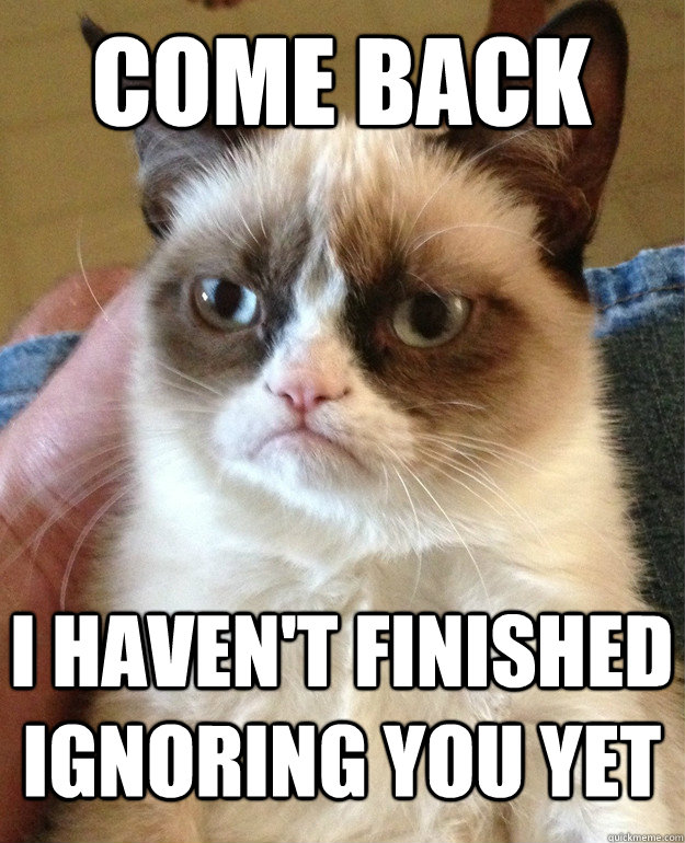 come back i haven't finished ignoring you yet  Grumpy Cat