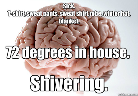 Sick. 
T-shirt, sweat pants, sweat shirt,robe, winter hat, blanket.   Shivering.  72 degrees in house.  Scumbag Brain