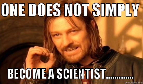 SCIENCE!!! NO - ONE DOES NOT SIMPLY  BECOME A SCIENTIST............. Boromir