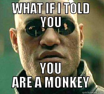 WHAT IF I TOLD YOU YOU ARE A MONKEY Matrix Morpheus