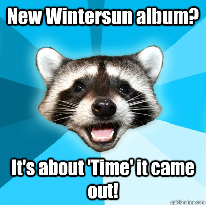 New Wintersun album? It's about 'Time' it came out!  Lame Pun Coon