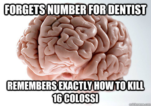 forgets number for dentist Remembers exactly how to kill 16 colossi  Scumbag Brain