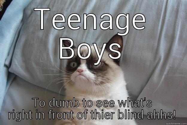 Teen Dummies - TEENAGE BOYS TO DUMB TO SEE WHAT'S RIGHT IN FRONT OF THIER BLIND AHHS! Grumpy Cat