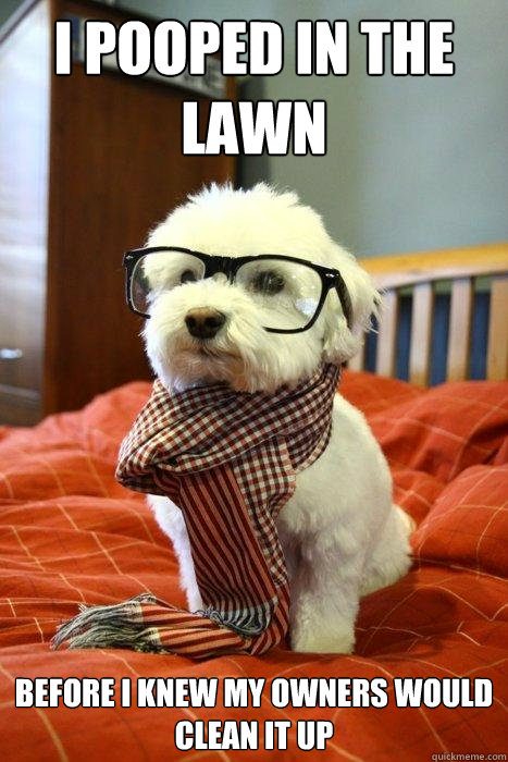 i pooped in the lawn before i knew my owners would clean it up  Hipster Dog