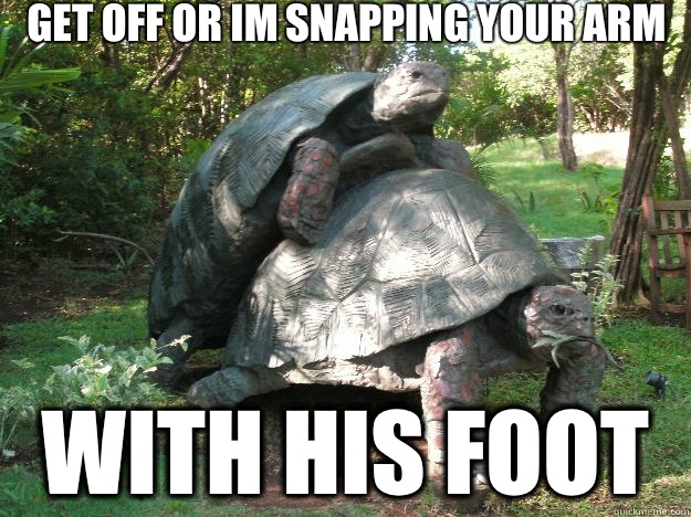 Get off or im snapping your arm with his foot  2 Turtles Humping