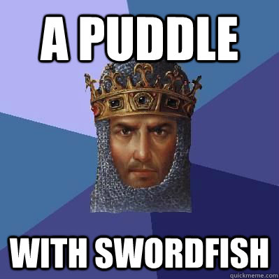 A PUDDLE WITH SWORDFISH  Age of Empires