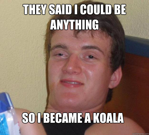 They said i could be anything So i became a koala  10 Guy