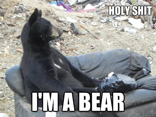 holy shit I'M A BEAR - holy shit I'M A BEAR  Sudden Realization Bear