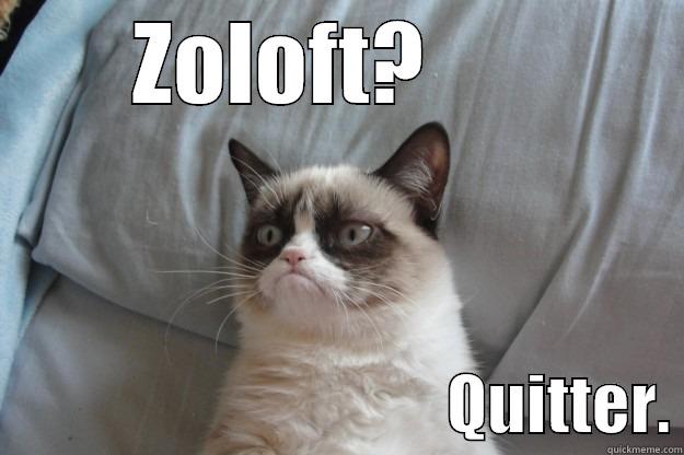        ZOLOFT?                                                  QUITTER. Grumpy Cat