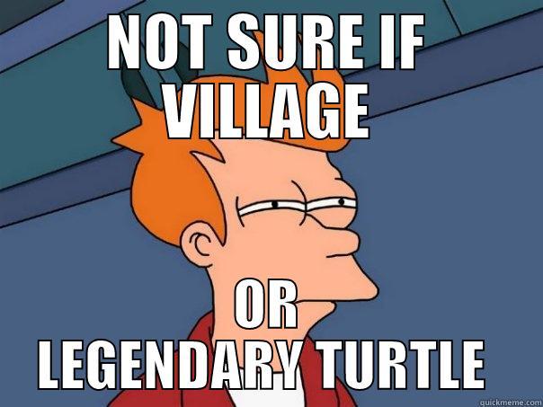 NOT SURE IF VILLAGE OR LEGENDARY TURTLE  Futurama Fry