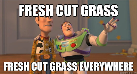 Fresh cut grass Fresh cut grass everywhere  Toy Story Everywhere