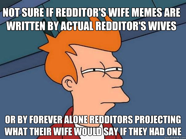 Not sure if Redditor's Wife memes are written by actual Redditor's wives or by forever alone Redditors projecting what their wife would say if they had one - Not sure if Redditor's Wife memes are written by actual Redditor's wives or by forever alone Redditors projecting what their wife would say if they had one  Futurama Fry