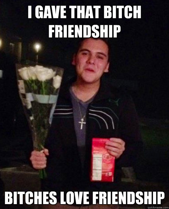 I gave that bitch friendship bitches love friendship  Friendzone Johnny