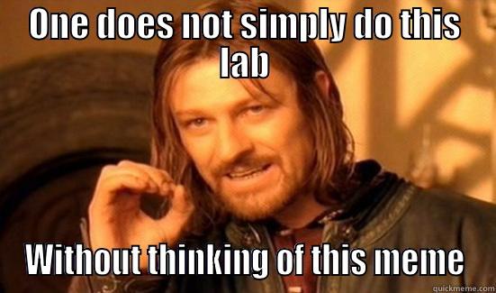 lab meme - ONE DOES NOT SIMPLY DO THIS LAB WITHOUT THINKING OF THIS MEME Boromir