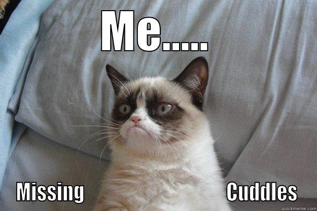 ME..... MISSING                                      CUDDLES Grumpy Cat