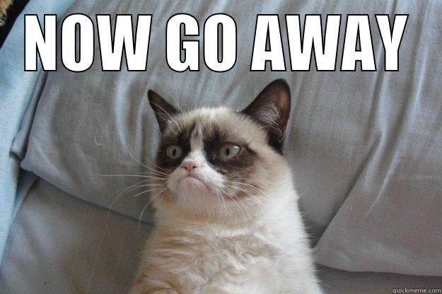 NOW GO AWAY  Grumpy Cat