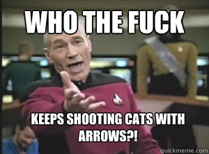 WHO THE FUCK KEEPS SHOOTING CATS WITH ARROWS?!  Annoyed Picard