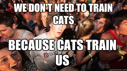 We don't need to train cats Because cats train us - We don't need to train cats Because cats train us  Misc