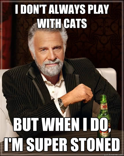 I don't always play with cats But when I do, I'm super stoned - I don't always play with cats But when I do, I'm super stoned  The Most Interesting Man In The World