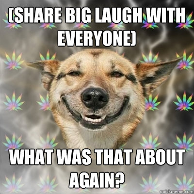 (share big laugh with everyone) what was that about again?  Stoner Dog