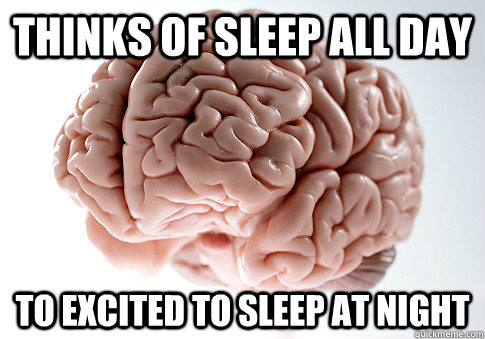 THINKS OF SLEEP ALL DAY  To excited to sleep at night  Scumbag Brain