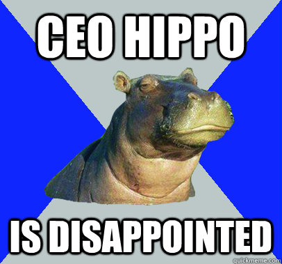 CEO HIPPO Is Disappointed   Skeptical Hippo