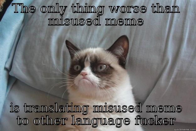 THE ONLY THING WORSE THAN MISUSED MEME IS TRANSLATING MISUSED MEME TO OTHER LANGUAGE FUCKER Grumpy Cat