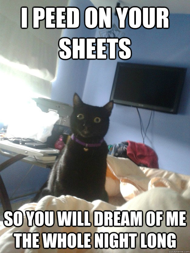 I peed on your sheets so you will dream of me the whole night long  overly attached cat