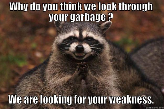 Humans. Last Warning - WHY DO YOU THINK WE LOOK THROUGH YOUR GARBAGE ? WE ARE LOOKING FOR YOUR WEAKNESS. Evil Plotting Raccoon