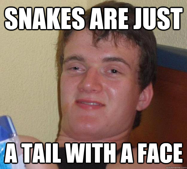 snakes are just a tail with a face - snakes are just a tail with a face  10 Guy