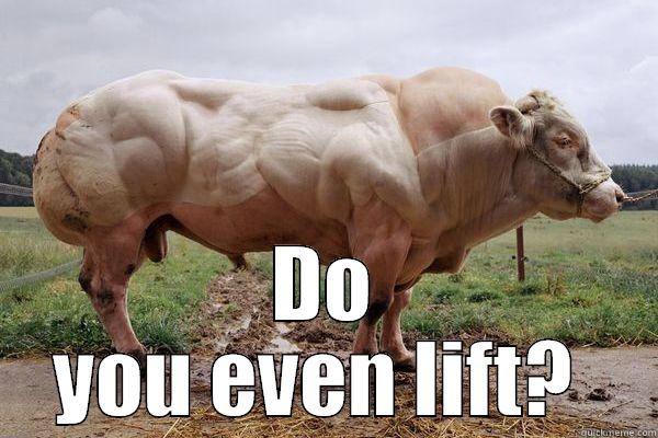 funny cow face do you even lift