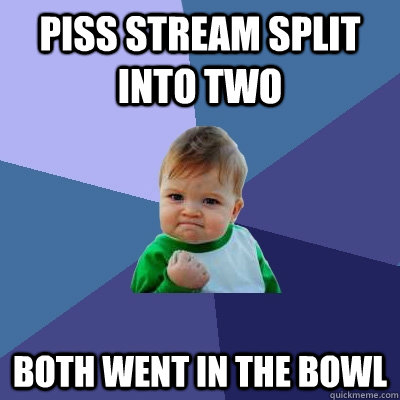 Piss stream split into two Both went in the bowl  Success Kid