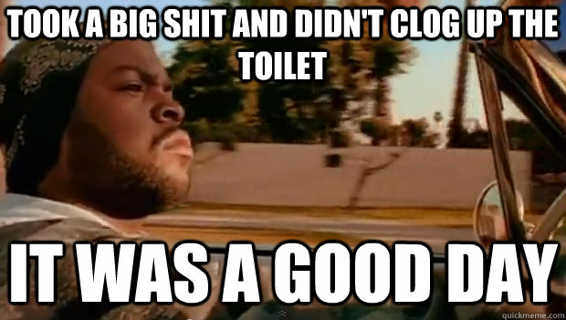 TOOK A BIG SHIT AND DIDN'T CLOG UP THE TOILET IT WAS A GOOD DAY  It was a good day