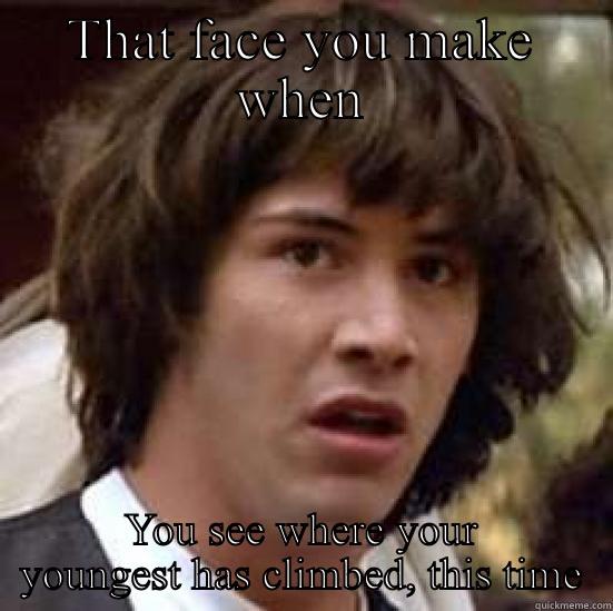 THAT FACE YOU MAKE WHEN YOU SEE WHERE YOUR YOUNGEST HAS CLIMBED, THIS TIME conspiracy keanu