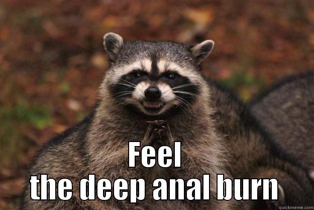  FEEL THE DEEP ANAL BURN Evil Plotting Raccoon