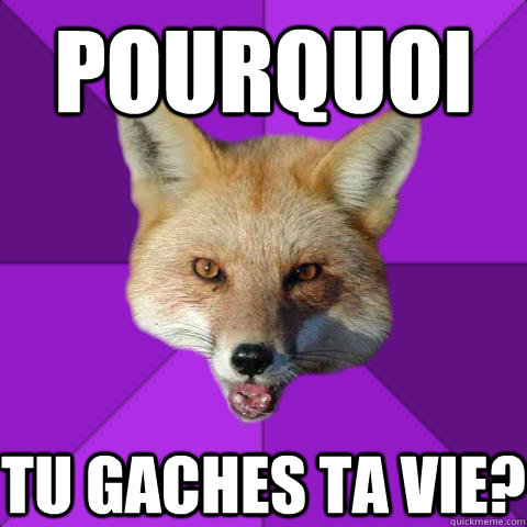 Pourquoi tu gaches ta vie?  Forensics Fox