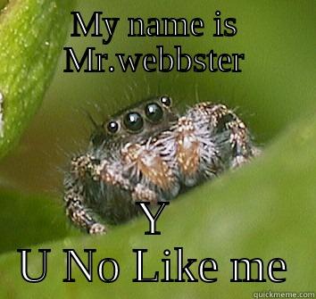 MY NAME IS MR.WEBBSTER Y U NO LIKE ME Misunderstood Spider